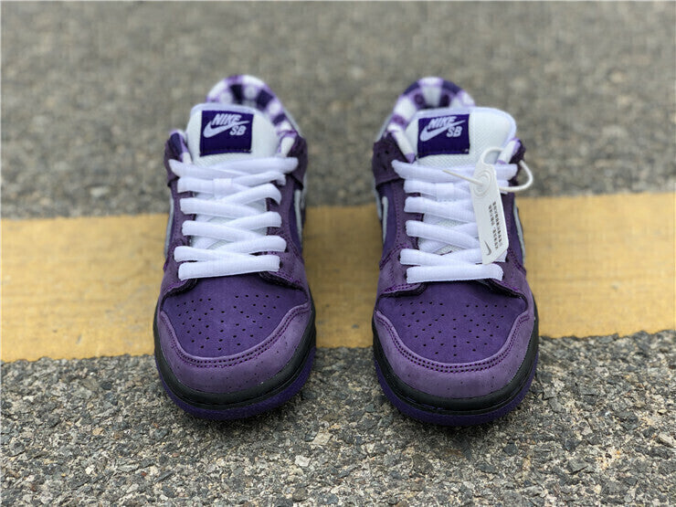 Nike SB Dunk Low Concepts Purple Lobster BV1310-555