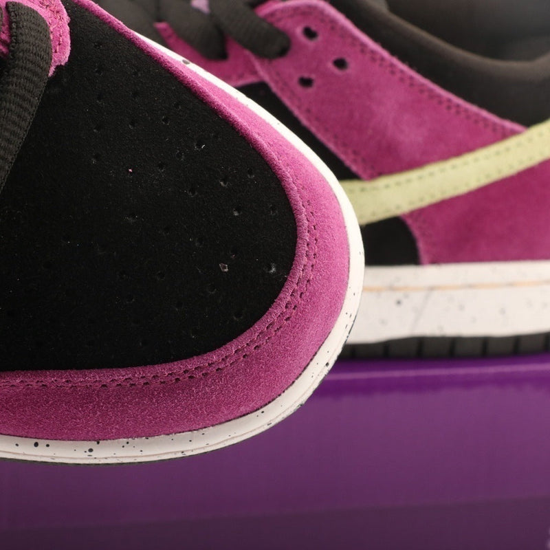 Nike SB Dunk Low Pro ACG Terra Red Plum BQ6817 008