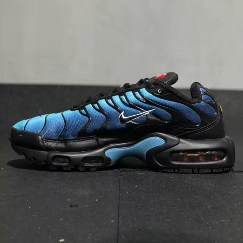 Nike Air Max TN Azul Degrade