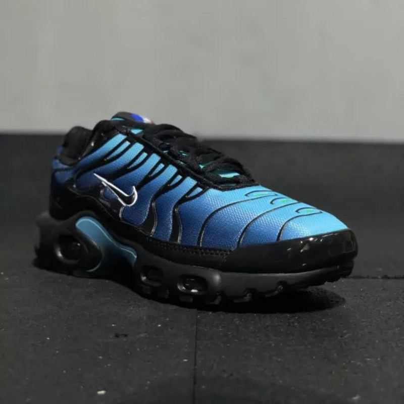 Nike Air Max TN Azul Degrade