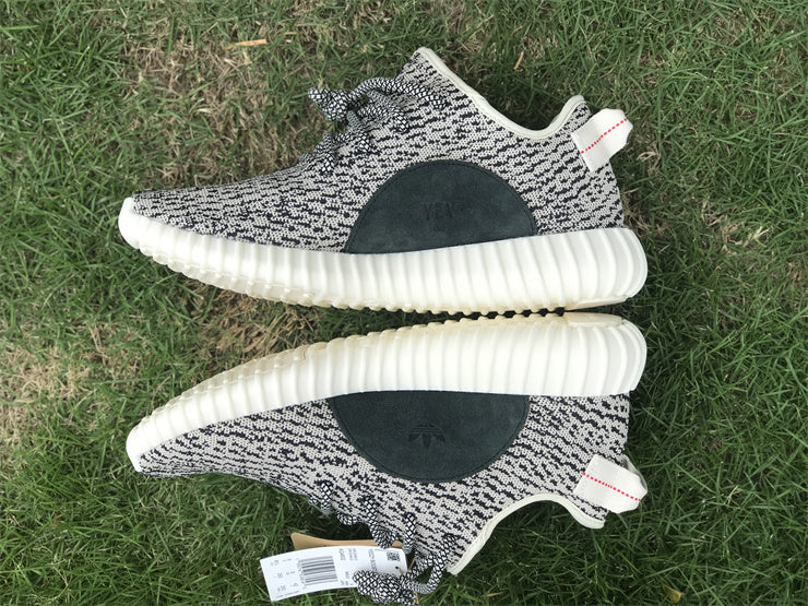 Yeezy Boost 350 Turtledove AQ4832