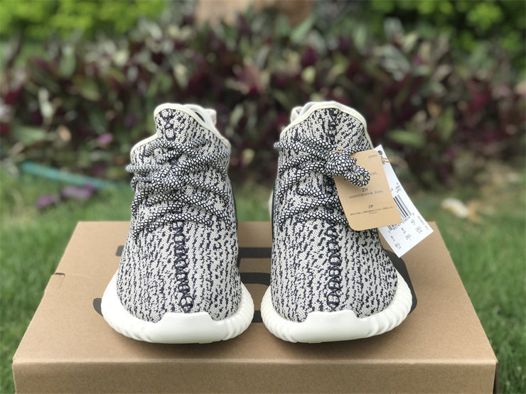 Yeezy Boost 350 Turtledove AQ4832