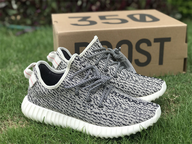 Yeezy Boost 350 Turtledove AQ4832