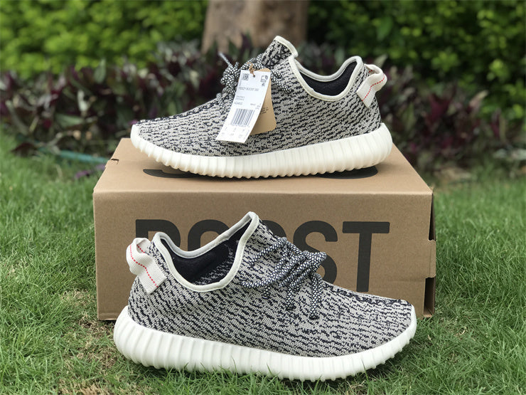 Yeezy Boost 350 Turtledove AQ4832