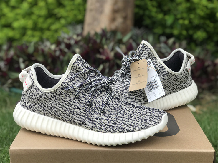 Yeezy Boost 350 Turtledove AQ4832